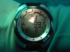 Der Nemo Excel