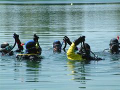 Abtauchen mit dem kurs